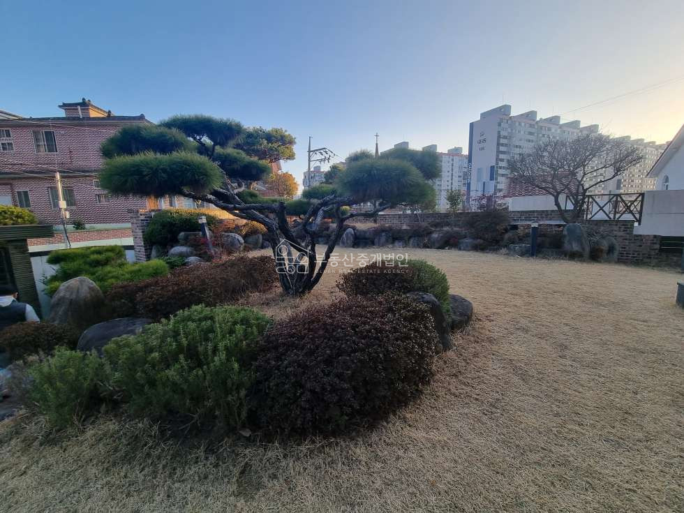 넓은 정원