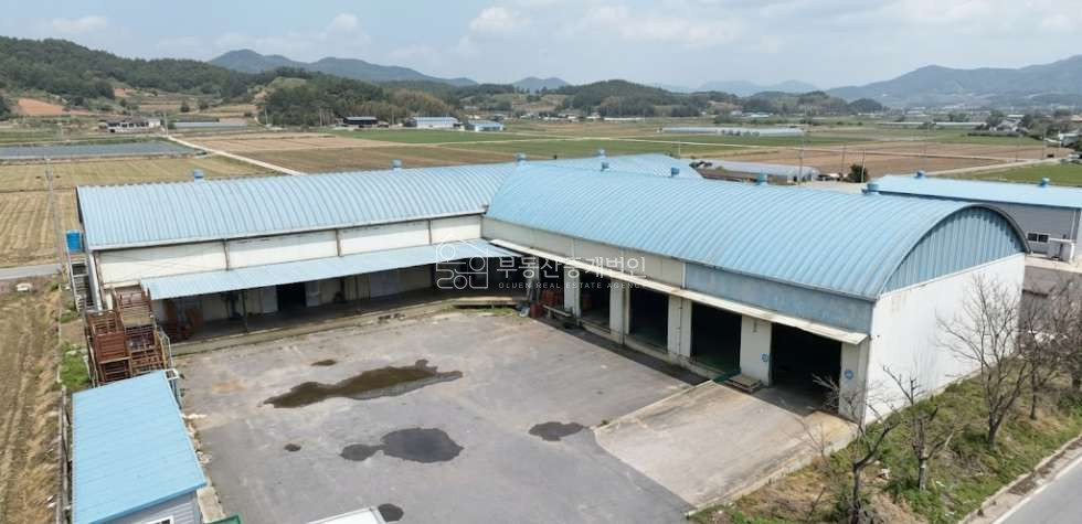 경남 밀양시 하남읍 귀명리 밀양 농산물 저온창고 매매/ 저온창고 215py 농산물선별장 200py/ 전력200lw 매매 매물번호 10134 사진 1